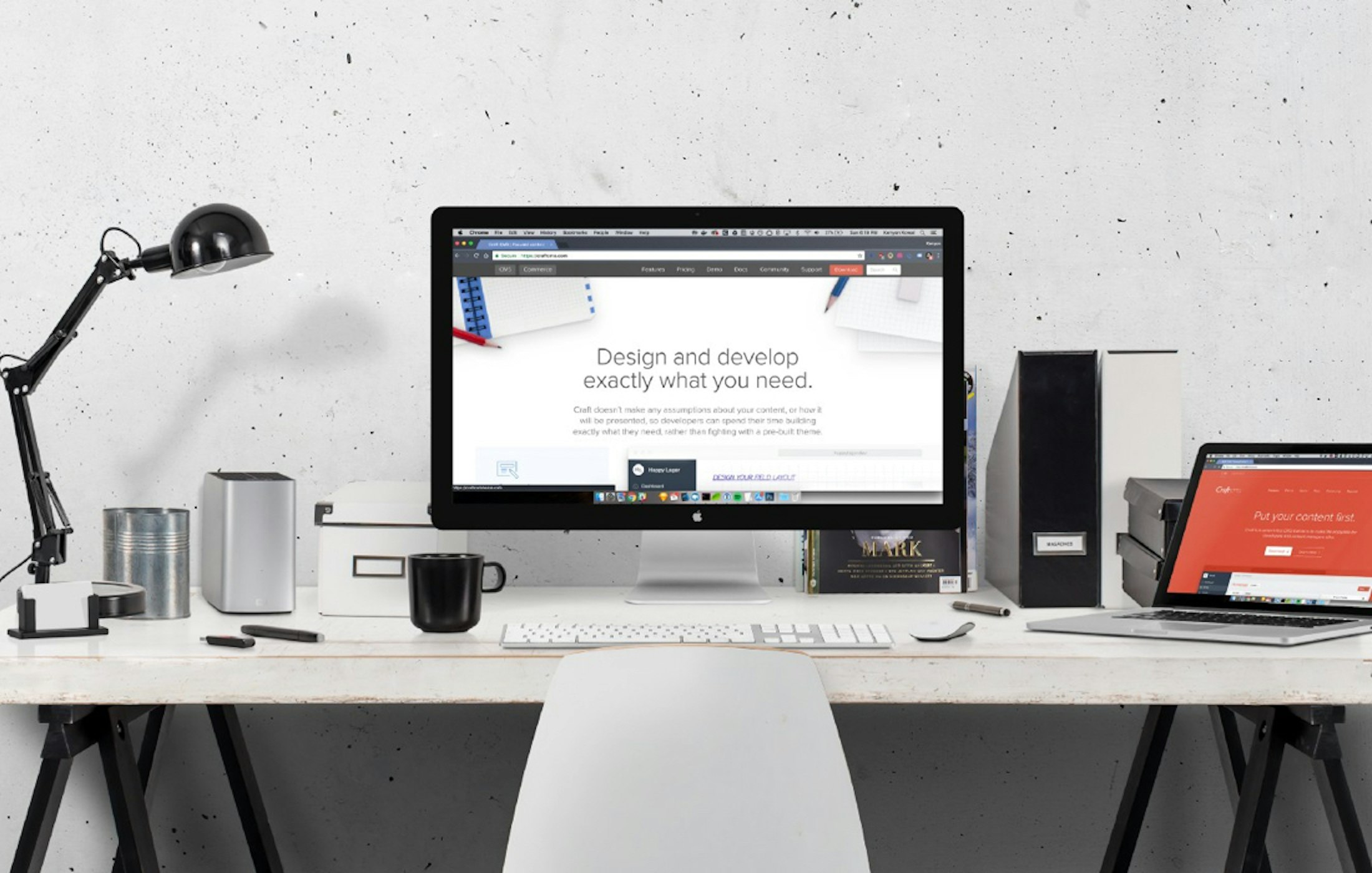 Craft cms